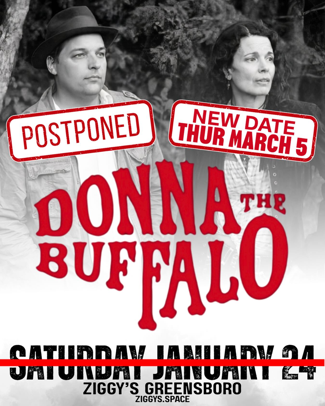 DONNA THE BUFFALO